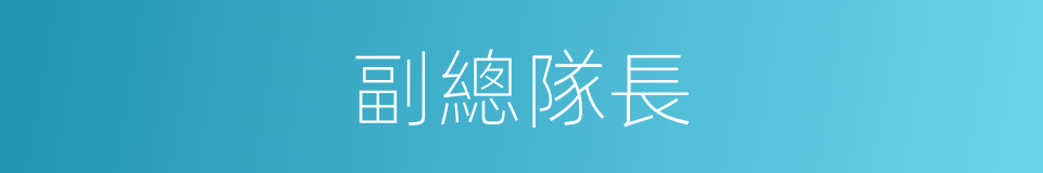 副總隊長的同義詞