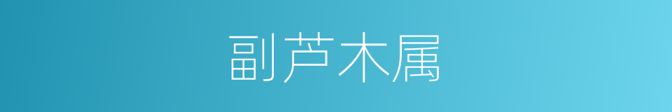 副芦木属的同义词