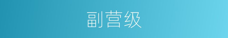 副营级的同义词