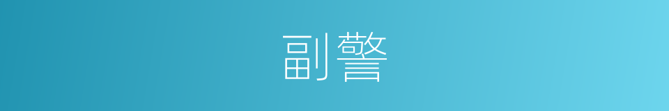副警的同义词