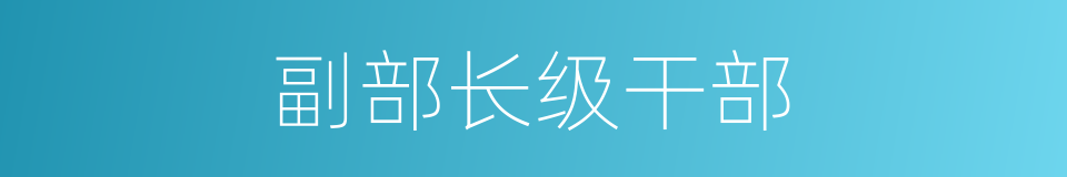 副部长级干部的同义词