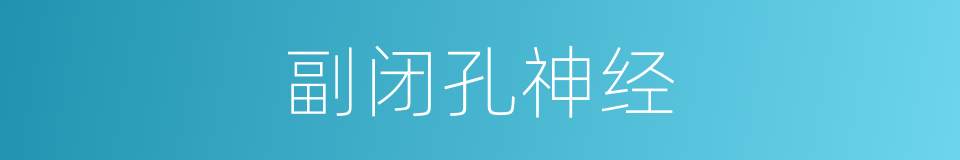 副闭孔神经的同义词