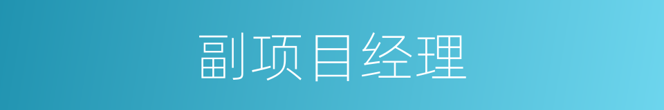 副项目经理的同义词