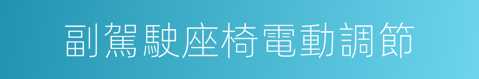 副駕駛座椅電動調節的同義詞