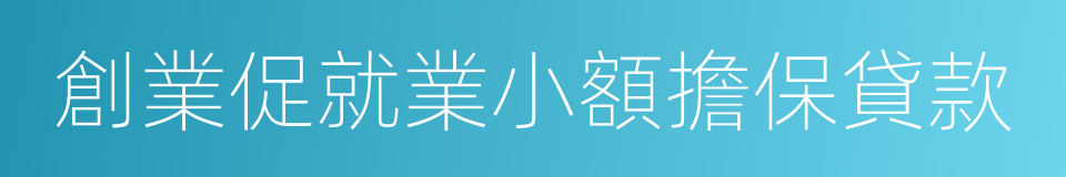 創業促就業小額擔保貸款的同義詞