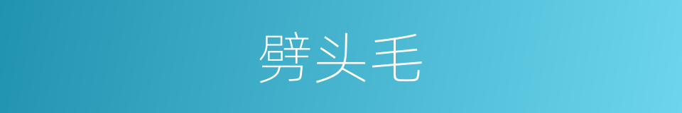劈头毛的同義詞