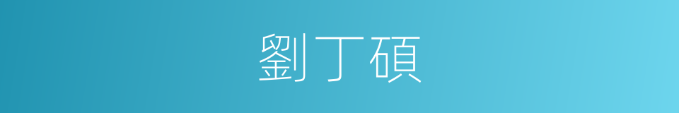 劉丁碩的同義詞