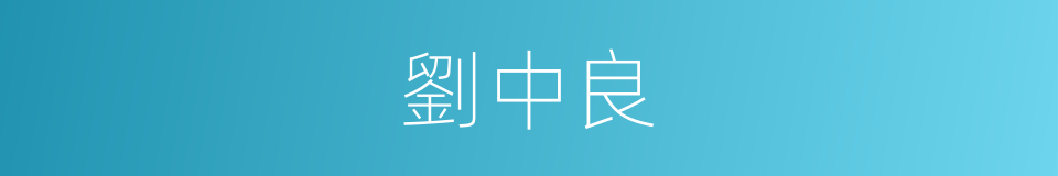 劉中良的同義詞
