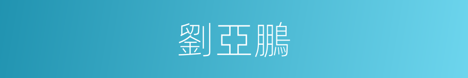 劉亞鵬的同義詞