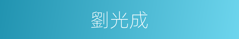 劉光成的同義詞