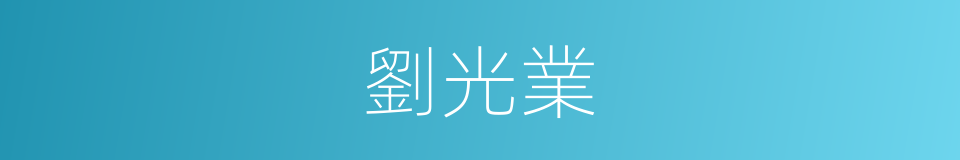 劉光業的同義詞