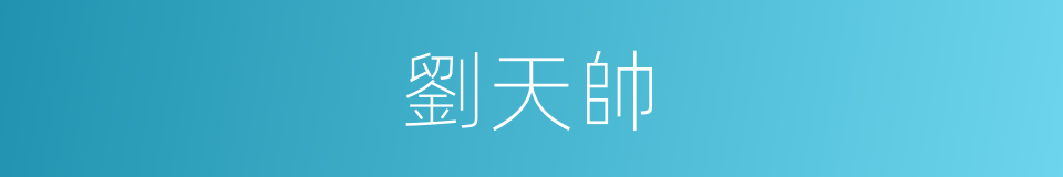劉天帥的同義詞