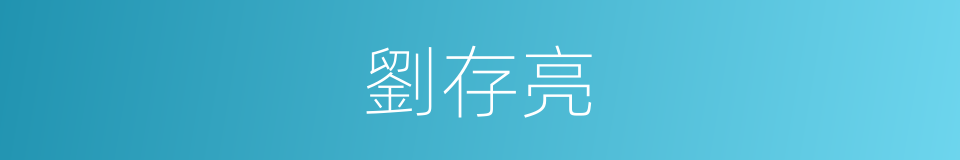 劉存亮的同義詞