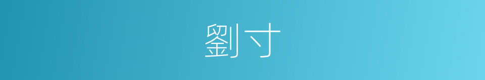 劉寸的同義詞