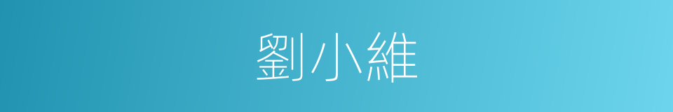 劉小維的同義詞