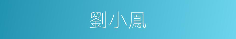 劉小鳳的同義詞