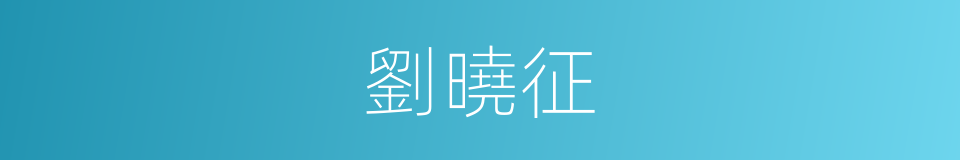 劉曉征的同義詞