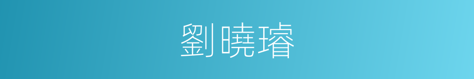 劉曉璿的同義詞