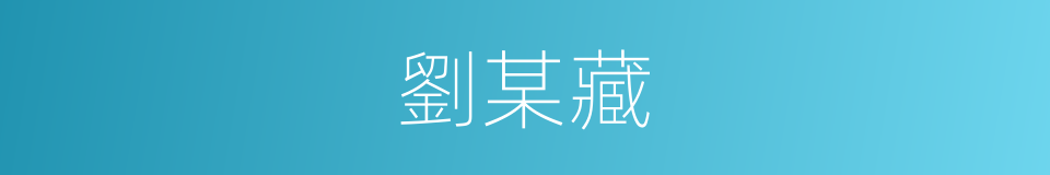 劉某藏的同義詞