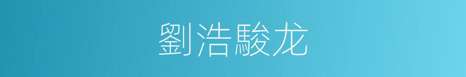 劉浩駿龙的同義詞