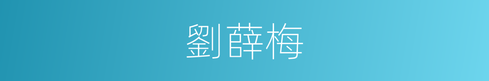 劉薛梅的同義詞