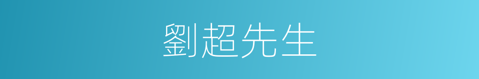 劉超先生的同義詞