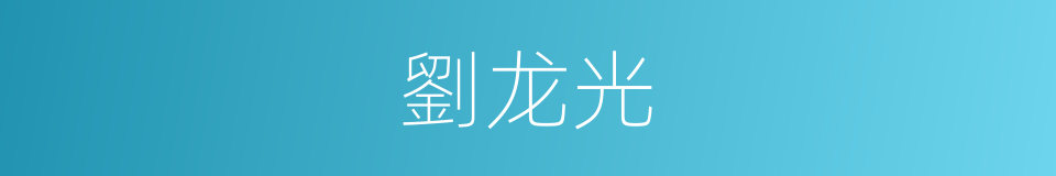 劉龙光的同義詞