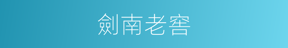 劍南老窖的同義詞