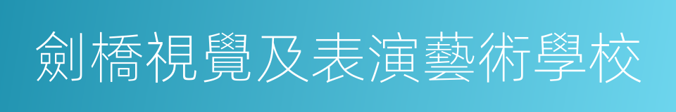 劍橋視覺及表演藝術學校的同義詞