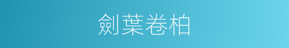 劍葉卷柏的同義詞