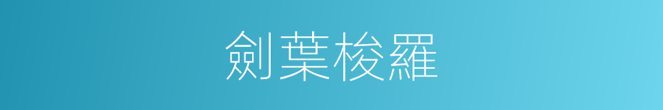 劍葉梭羅的同義詞