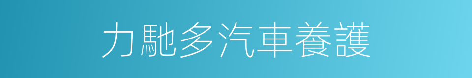 力馳多汽車養護的同義詞