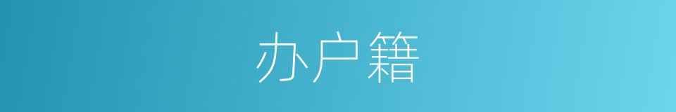 办户籍的同义词
