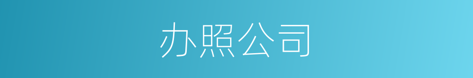 办照公司的同义词