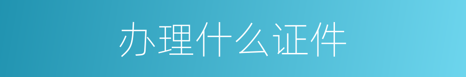 办理什么证件的同义词