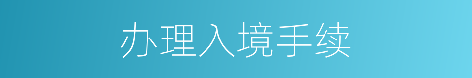 办理入境手续的同义词