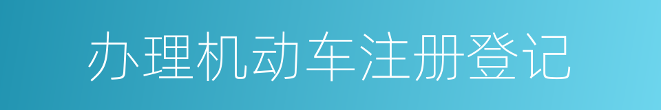 办理机动车注册登记的同义词