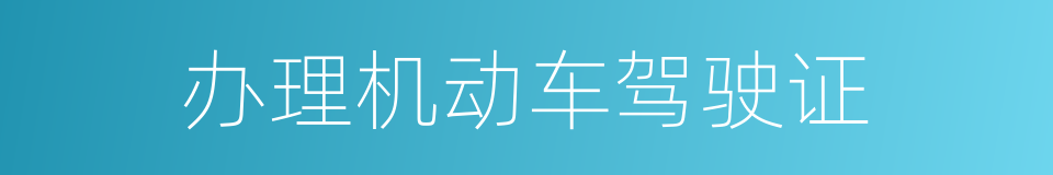 办理机动车驾驶证的同义词