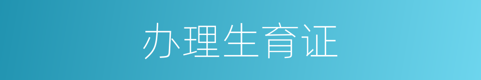 办理生育证的同义词