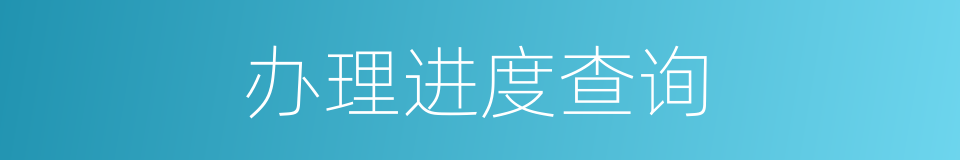 办理进度查询的同义词