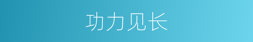 功力见长的意思