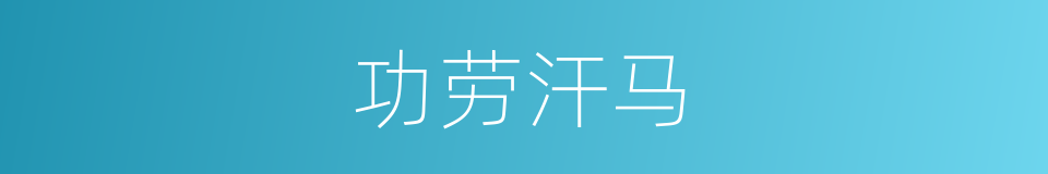 功劳汗马的意思