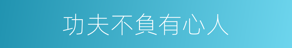 功夫不負有心人的意思