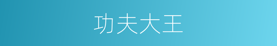 功夫大王的同义词
