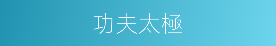 功夫太極的同義詞