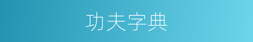 功夫字典的意思