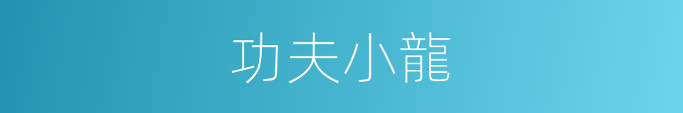 功夫小龍的同義詞