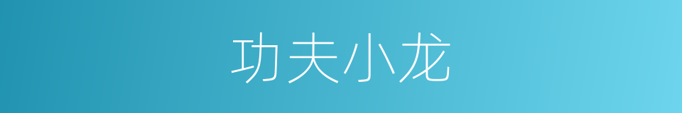 功夫小龙的同义词