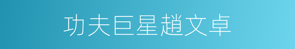 功夫巨星趙文卓的同義詞