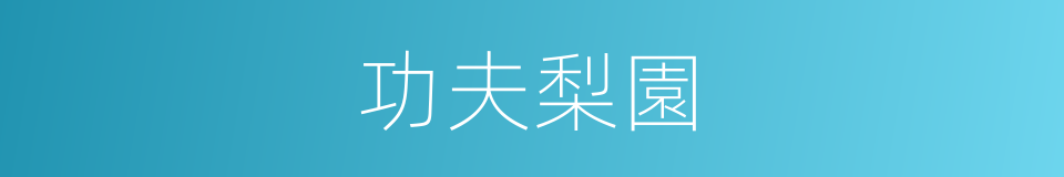 功夫梨園的同義詞